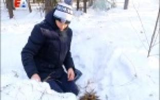 Февральский десант Выпуск 2 21.02.2017