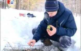 Февральский десант Выпуск 1 20.02.2017