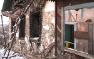 Печальная статистика растет
