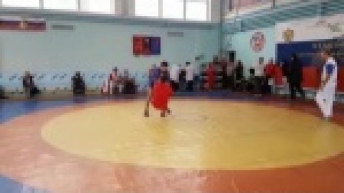 Отличный результат на Чемпионате УрФО показали самбисты из Первоуральска