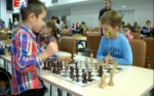В Первоуральске отыскали шахматные звёздочки