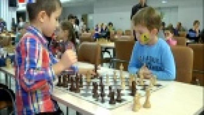 В Первоуральске отыскали шахматные звёздочки