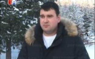 Первоуральские ели возьмут под охрану
