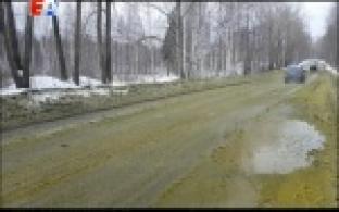 В посёлке Магнитка сегодня позеленело