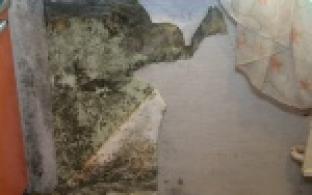 В одном из домов на улице СТИ многодетная семья живет по соседству с плесенью