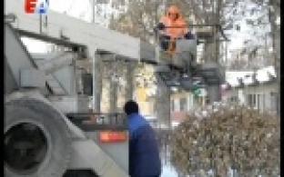 В Первоуральске приступили к кронированию деревьев