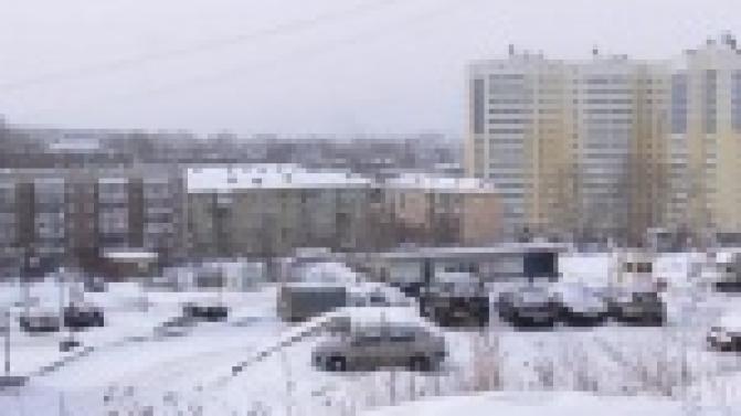 Выгулять собаку без намордника и поводка обойдется ее хозяину от 100 рублей и выше