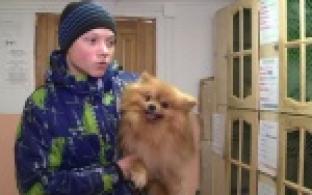 Акция "Ищу тебя, хозяин"