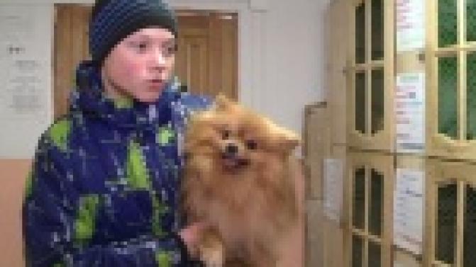 Акция "Ищу тебя, хозяин"