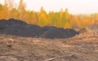 Бизнесмены на Магнитке придумали схему заработка денег, но вот уже несколько недель к ним вместо доходов приходят лишь проверяющие органы