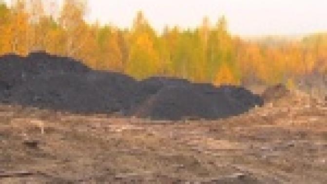 Бизнесмены на Магнитке придумали схему заработка денег, но вот уже несколько недель к ним вместо доходов приходят лишь проверяющие органы