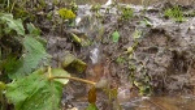 Тонут в собственном дворе