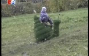 Топиарии, которые так полюбились первоуральцам, будут радовать жителей и зимой