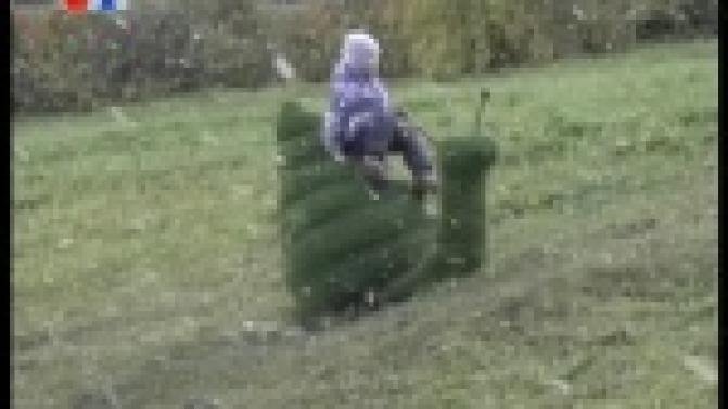 Топиарии, которые так полюбились первоуральцам, будут радовать жителей и зимой