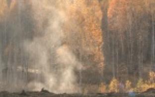 Мусор проще сжечь, чем вывести