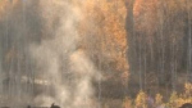 Мусор проще сжечь, чем вывести