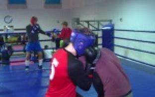 Из сотни спортсменов региона пятеро первоуральцев стали лучшими, а еще пятеро - привезли серебряные медали