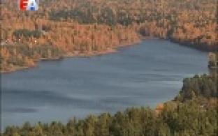 В Билимбаевской библиотеке прошла научно-практическая конференция - "Никитинские чтения"