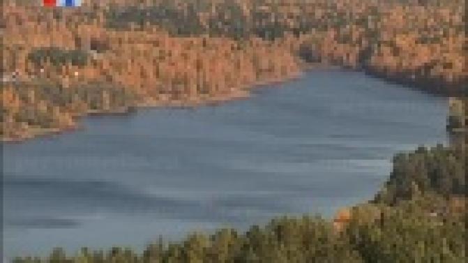 В Билимбаевской библиотеке прошла научно-практическая конференция - "Никитинские чтения"