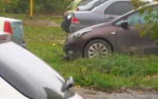 Автовладельцам придется раскошелиться за вольную парковку на газоне