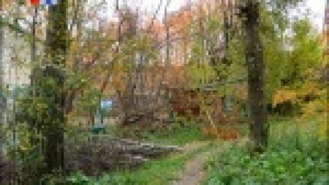 Жителям одного из дворов по проспекту Ильича он теперь напоминает полосу препятствий