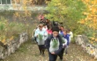 Собственная кедровая роща в скором времени появится на территории школы № 6