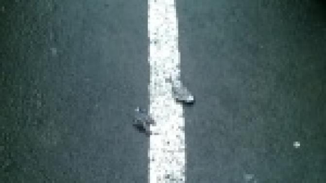 Телезритель Михаил Шадрин снял на камеру мобильного десятки погибших птиц в одном из районов города