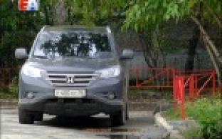 Быть или не быть палисаднику?