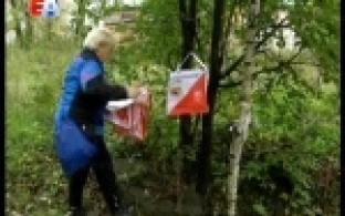 Корабельная роща вновь стала тренировочным полигоном для участников соревнований по спортивному ориентированию