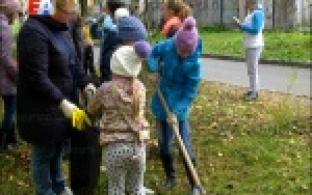 Неравнодушные первоуральцы привели в порядок территорию берёзовой рощи возле 32-й школы