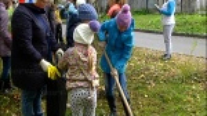 Неравнодушные первоуральцы привели в порядок территорию берёзовой рощи возле 32-й школы