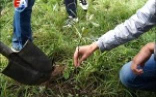 Студенты Металлургического колледжа уже высадили деревья возле своего учебного заведения