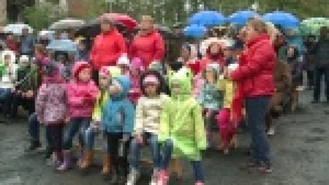 Сажали деревья и танцевали под симфоническую музыку
