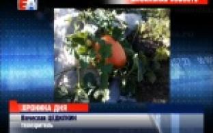 Следующую новость нам сообщили телезрители