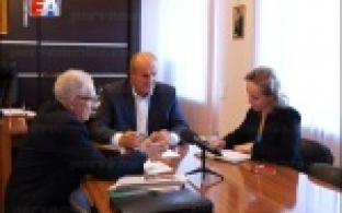 Канадские ели, а также кедры могут высадить в Первоуральске