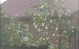 "Первоуральск ТВ" продолжает дарить призы телезрителям