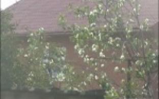 Свидетелями необычного природного явления стали первоуральцы