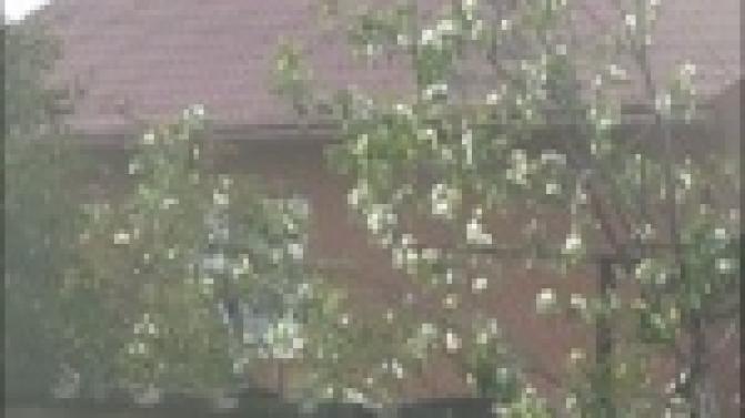 Свидетелями необычного природного явления стали первоуральцы