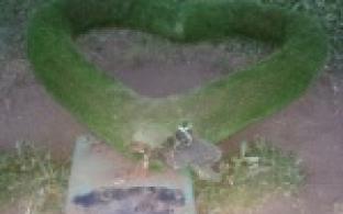 Сердце Первоуральска разбито