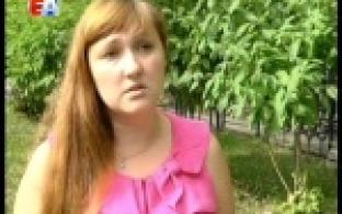 Специалисты рассказали, как платить дополнительные взносы на накопительную пенсию