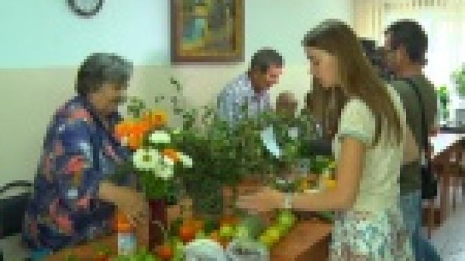 Итоги дачного сезона подвели в городском обществе слепых, где организовали своеобразную выставку даров лета