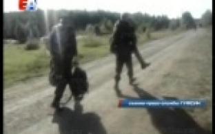 Собачья работа получила высокую оценку