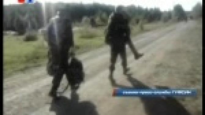 Собачья работа получила высокую оценку