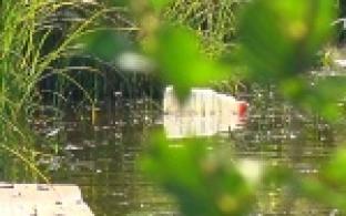 Мусорный сплав