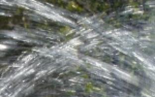 Уральский регион продолжает изнывать от летнего зноя