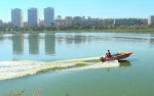 Спасаясь от высоких температур первоуральцы массово устремляются на свежий воздух и поближе к воде