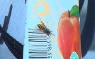 Слишком много ос этим летом