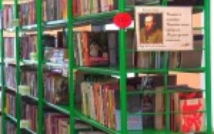 Книги Достоевского, Толстого и Булгакова станут доступнее для билимбаевцев