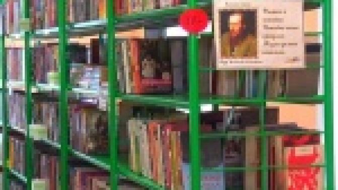 Книги Достоевского, Толстого и Булгакова станут доступнее для билимбаевцев