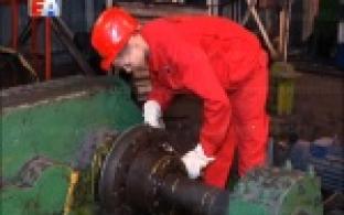 Нашли достойное применение знаниям